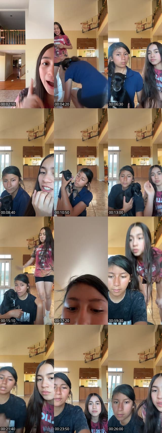 TikTok live: Ding dong ditching??? by @liveaccountspam