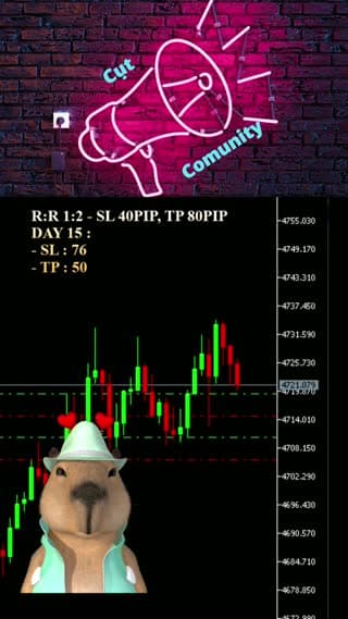 TikTok live: Xích cậu vàng !!! by @capybaramaulua