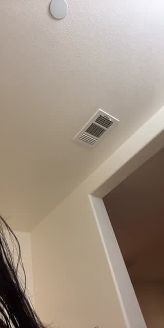 @bientoxi TikTok live stream