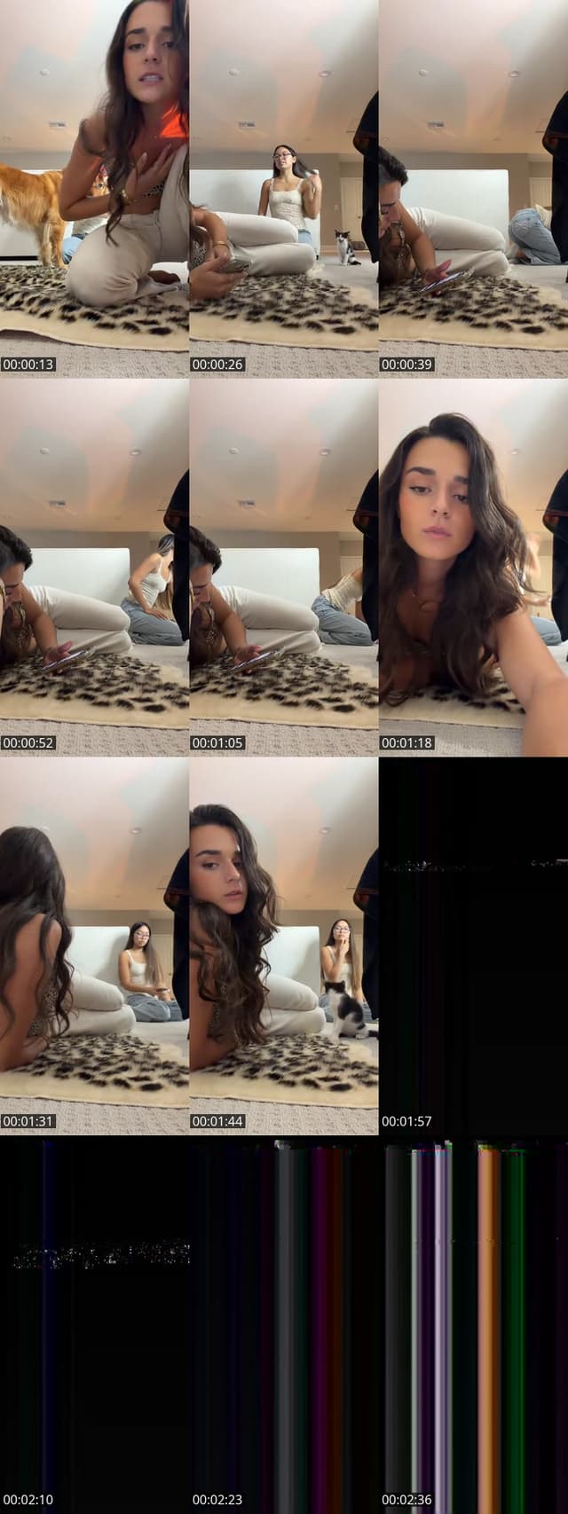 TikTok live: 🐆🐆🐆 by @meganoccorso_