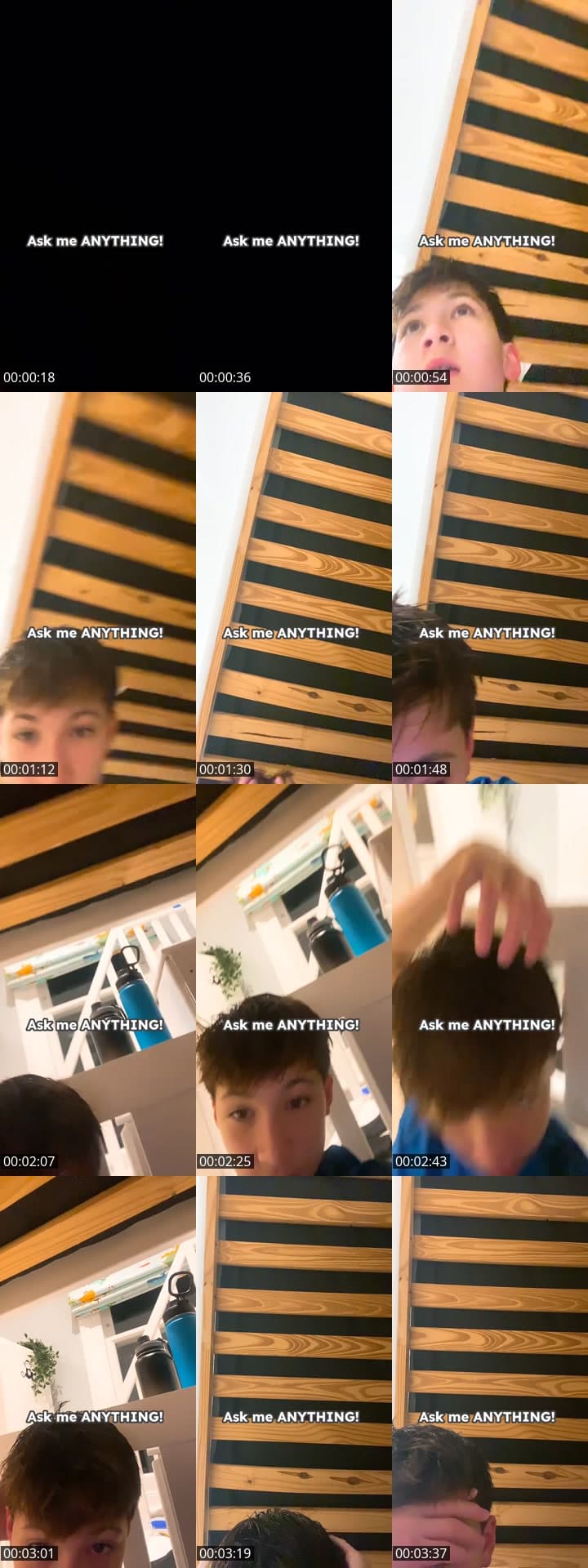 User SubToBearBeatzz