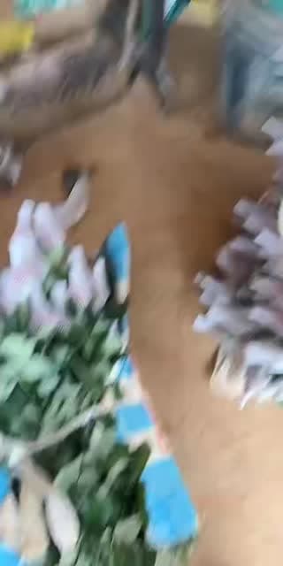 @g_khajeerat TikTok live from 2026-05-09