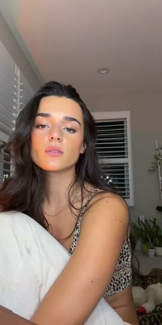 🐆🐆🐆