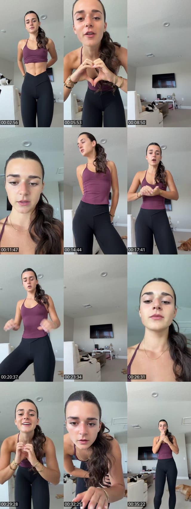 TikTok live: 🐆 by @meganoccorso_