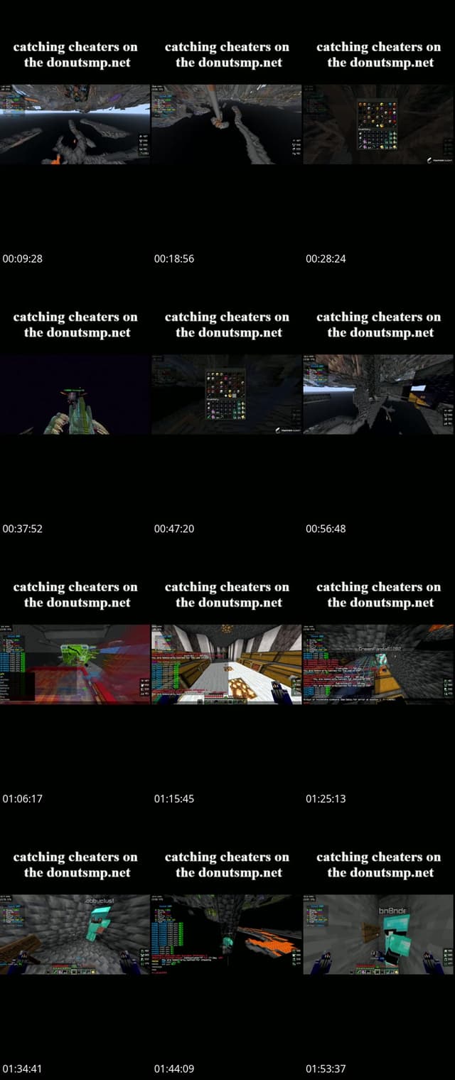 TikTok live: catching cheaters donutsmp by @pastagamer08