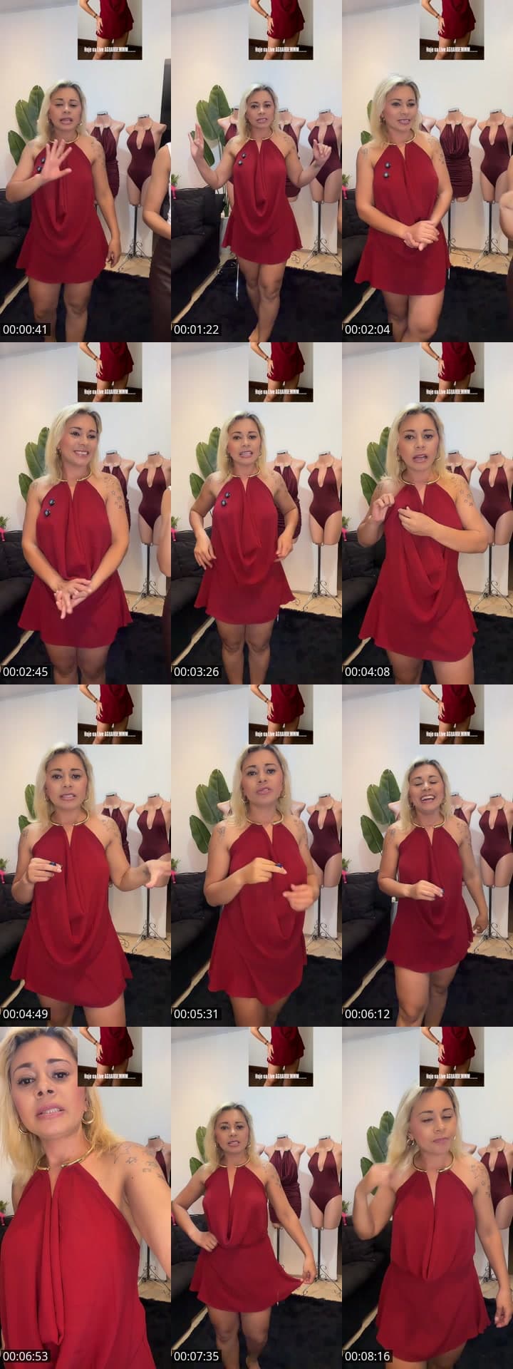 Noiteeee Gatonasssss