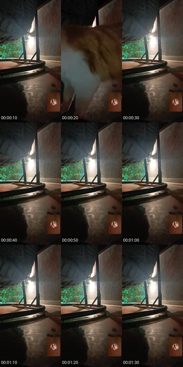 süprizlerle gel bana. 🤗👑🎁