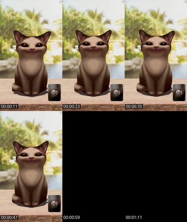 ~ Team aguila🦅🦅.