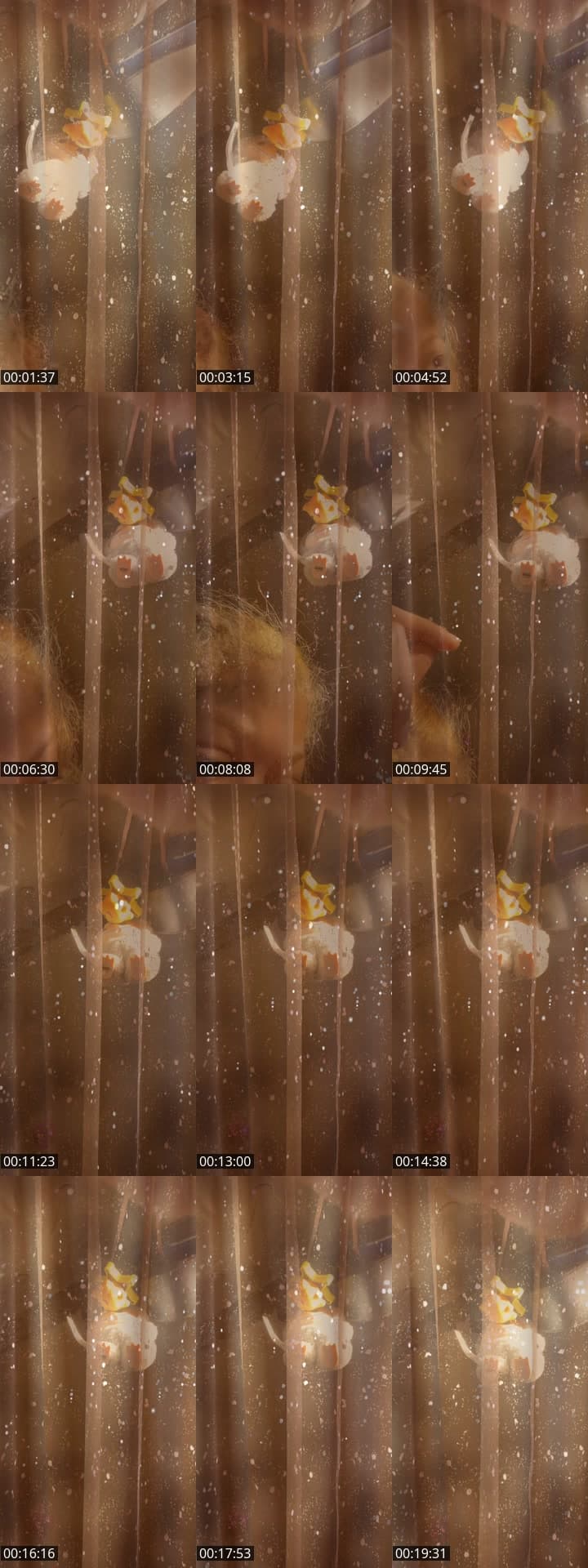 💗🩶Consiénteme,mi rey😱💗