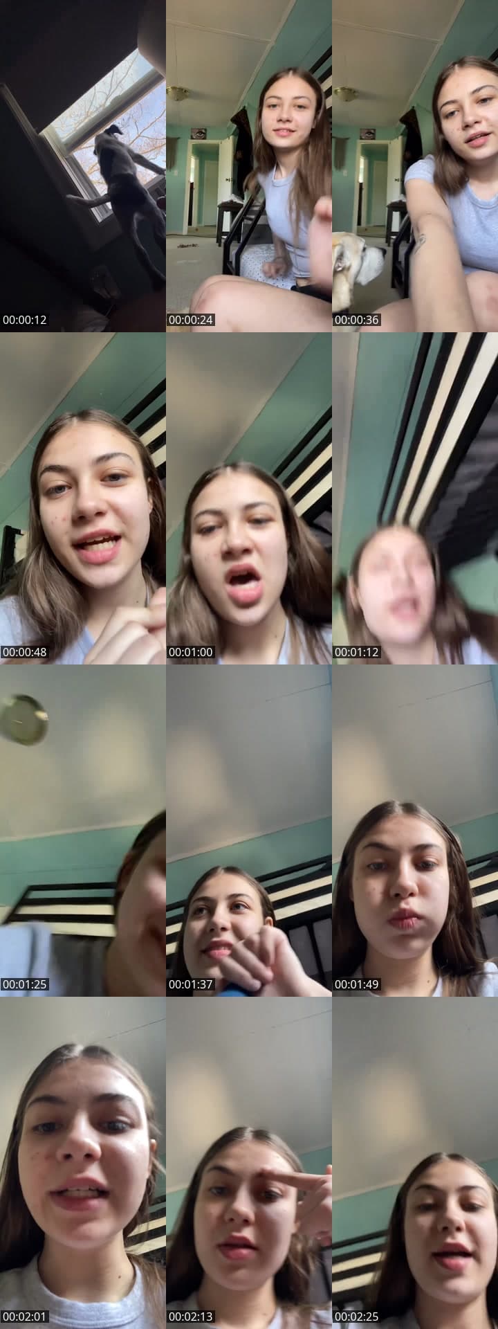 @avaawillson TikTok live stream