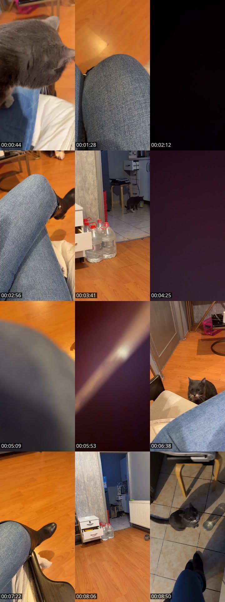 @melissword TikTok live stream