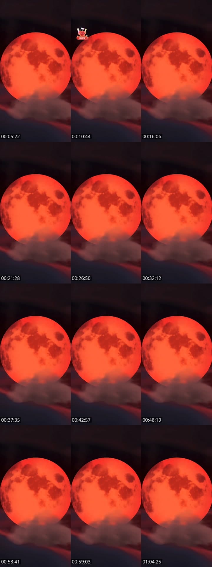 Raus aus der Krise!😁