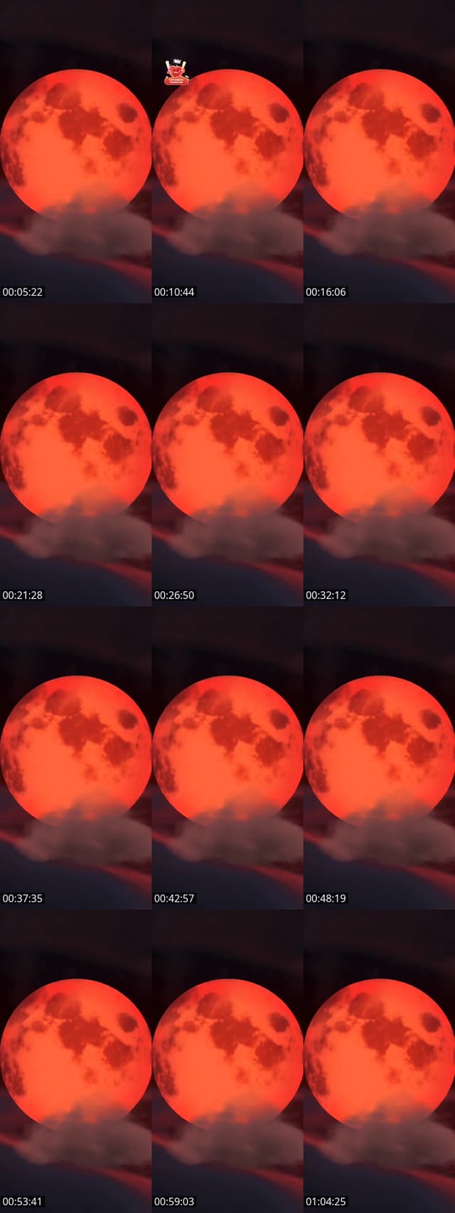 Raus aus der Krise!😁