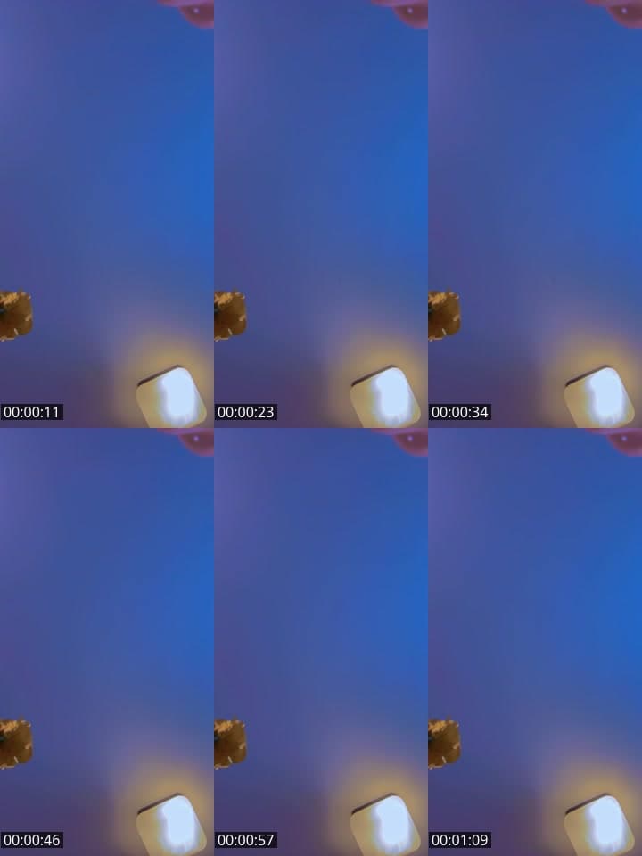 @neidy.fernandez4 TikTok live stream