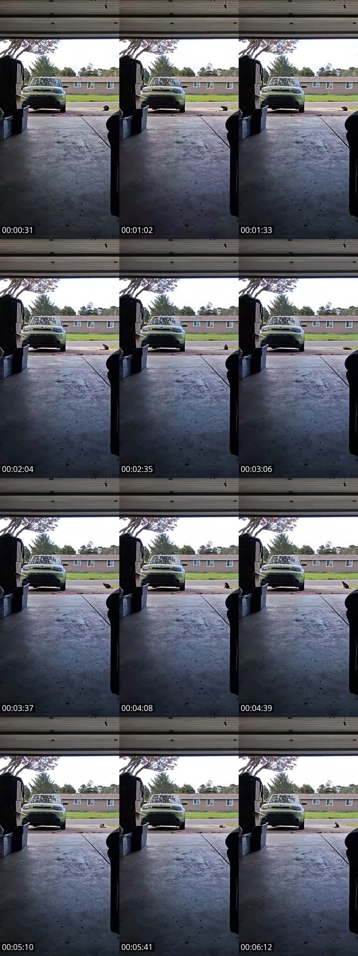 Narcissist dv survivor trauma