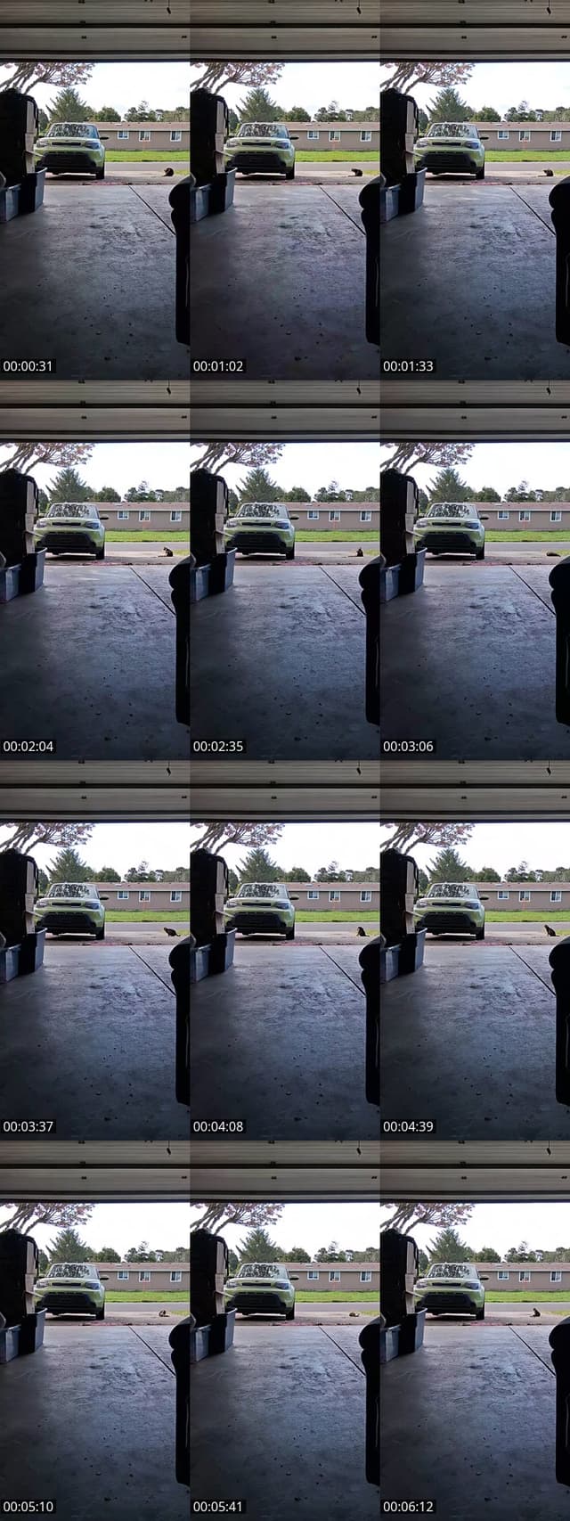 Narcissist dv survivor trauma