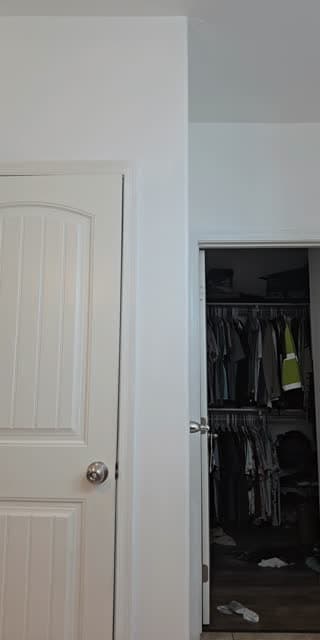 @lavidaconcelestee TikTok live stream