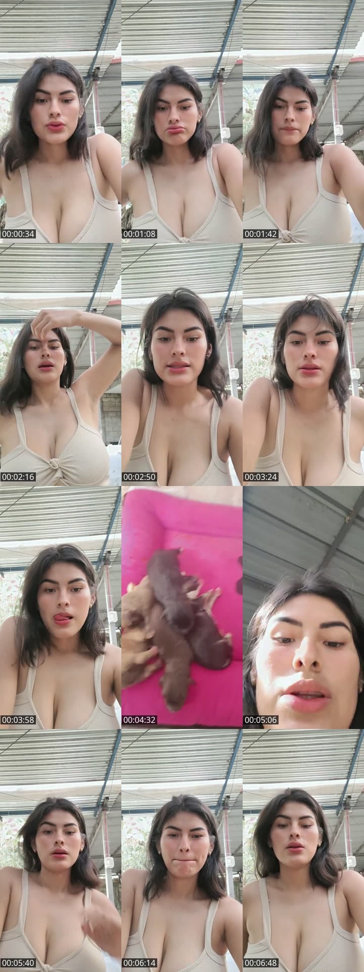 @genesis.oficial16 TikTok live stream