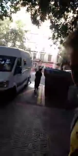 @serresdirectos TikTok live stream