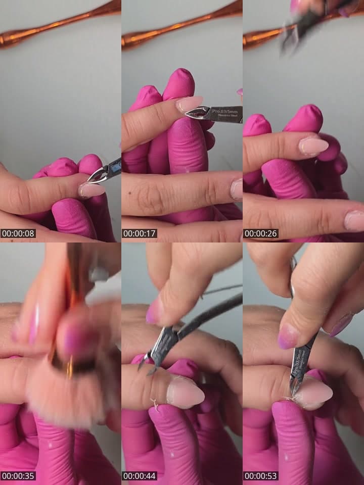 @lavidaconcelestee TikTok live stream