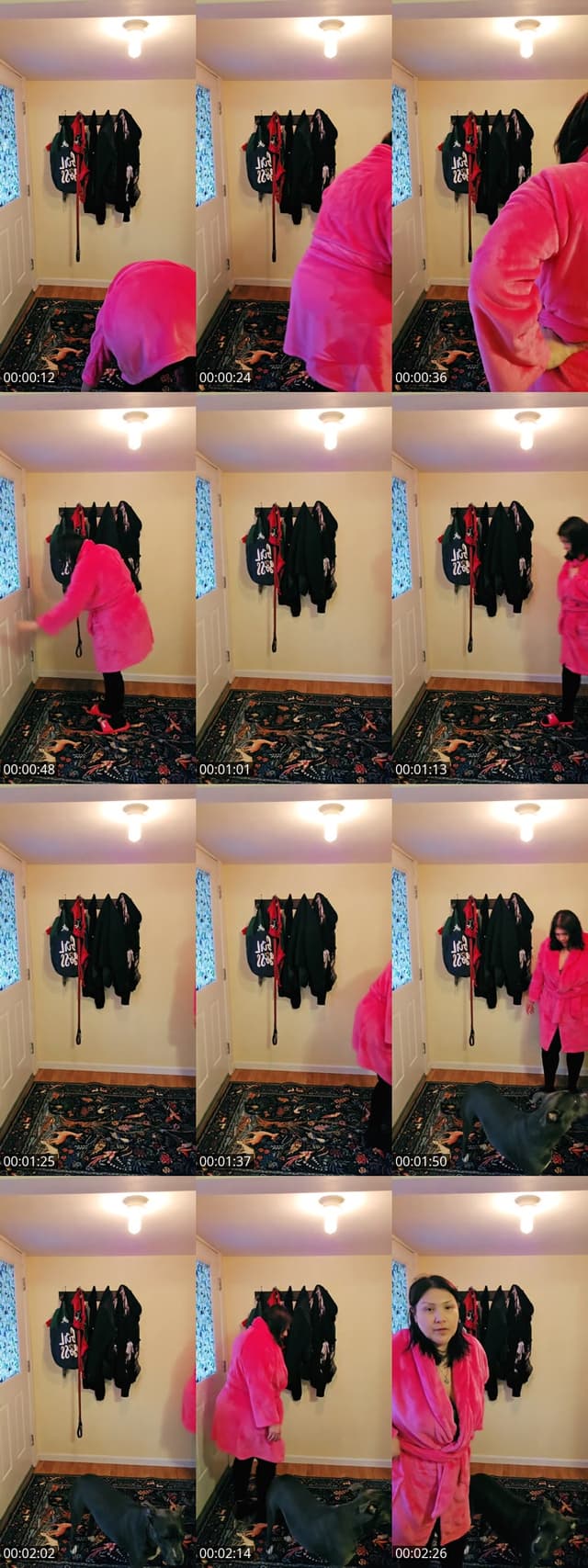TikTok live: hello by @fariandtherainbow2