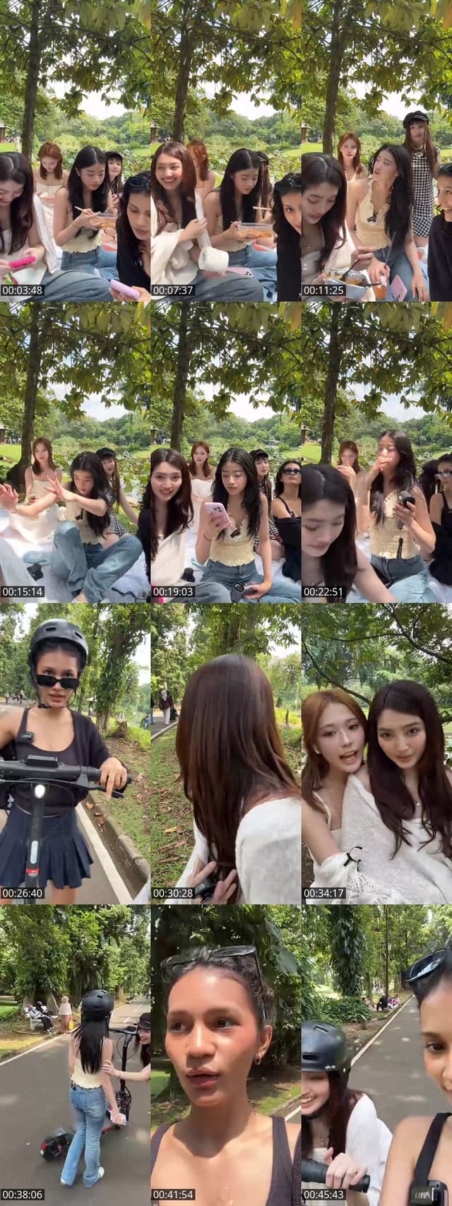 TikTok live: Lets Go LIVE! by @official.papion