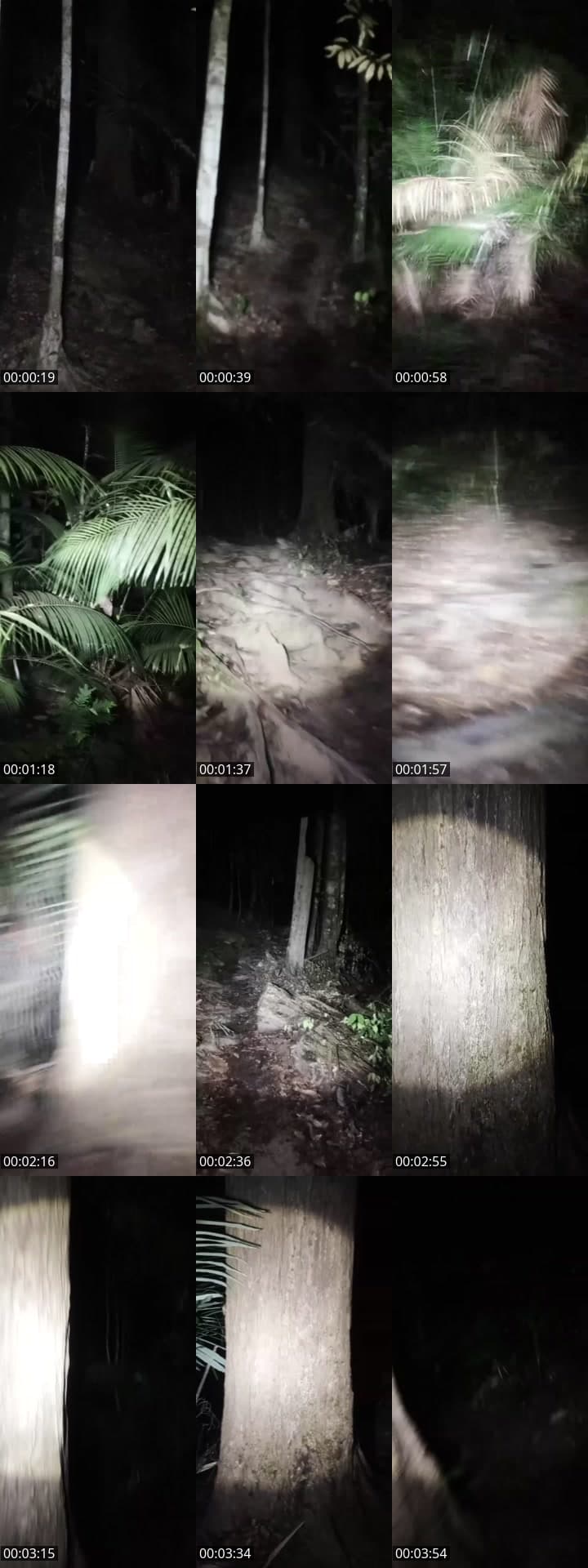 HUTAN ANGKER
