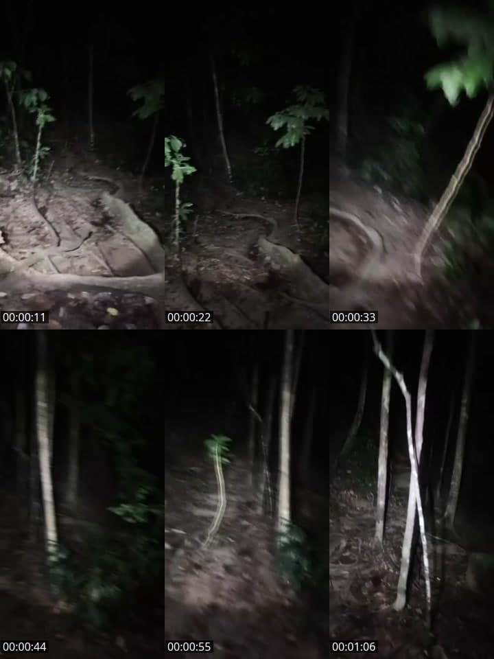 HUTAN ANGKER