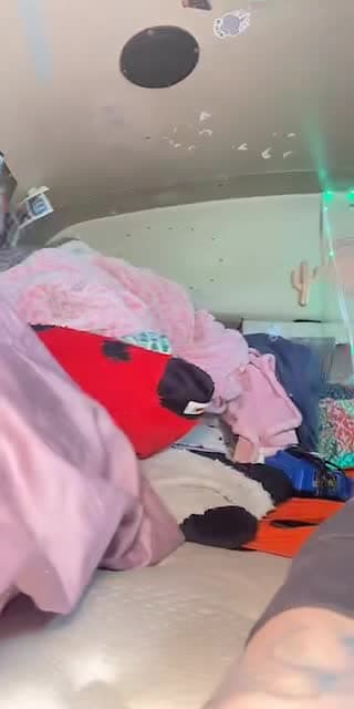 TikTok live: Dilly dally with me in the bus by @shelbydaysway