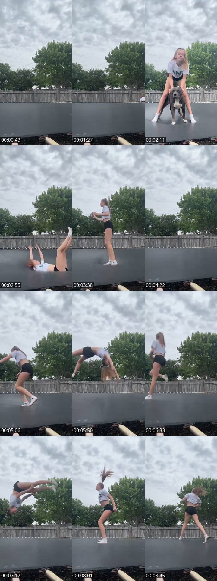 Cheer