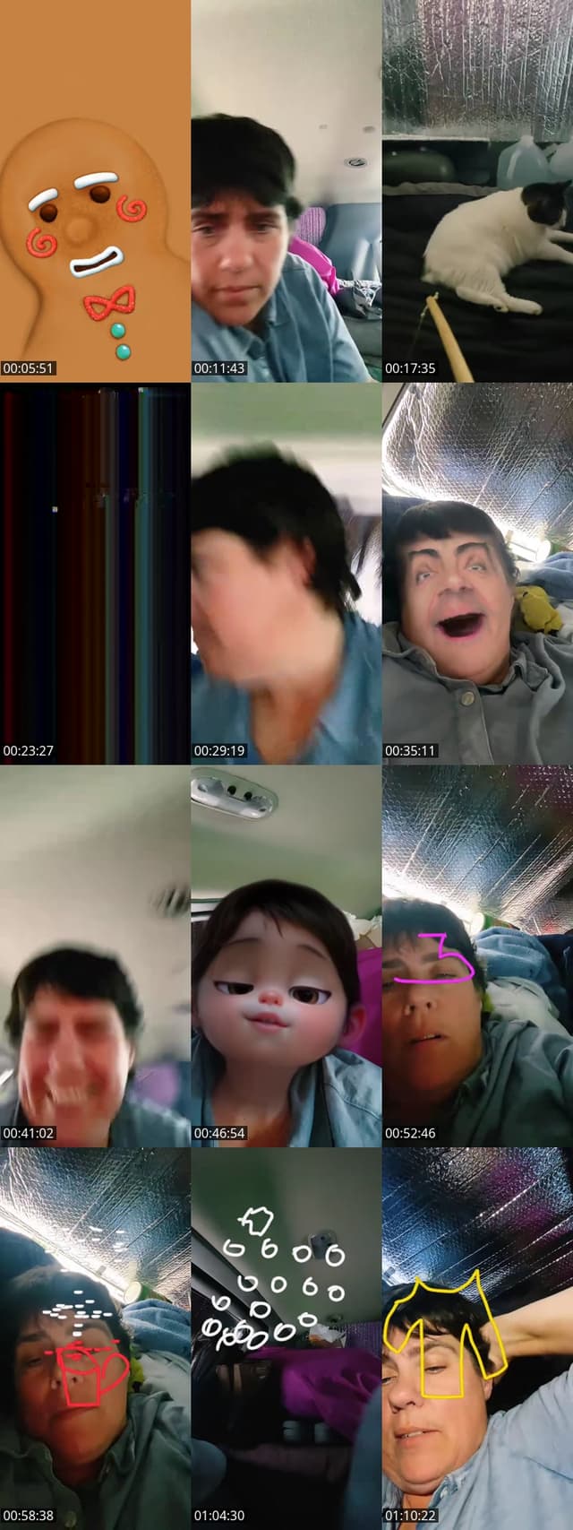 @nounaliveanimals24 TikTok live from 2026-05-01