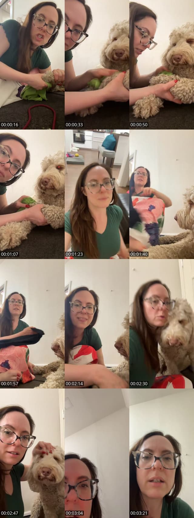 Past TikTok live: Quick ranking action by @djalisolutionsbackup