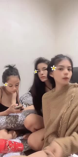 cibi cibi