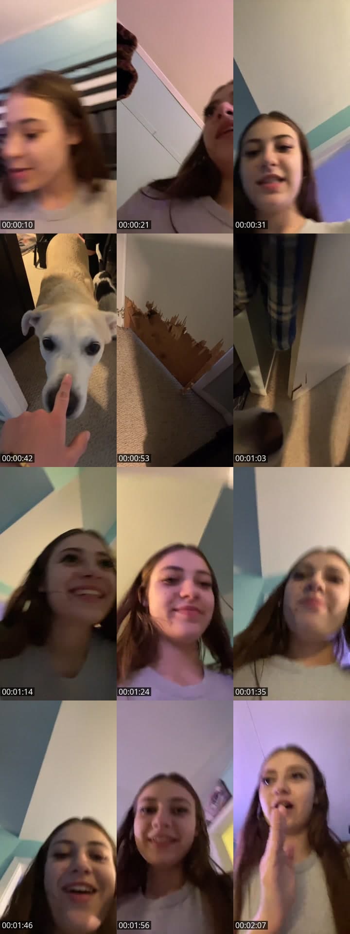 @avaawillson TikTok live stream