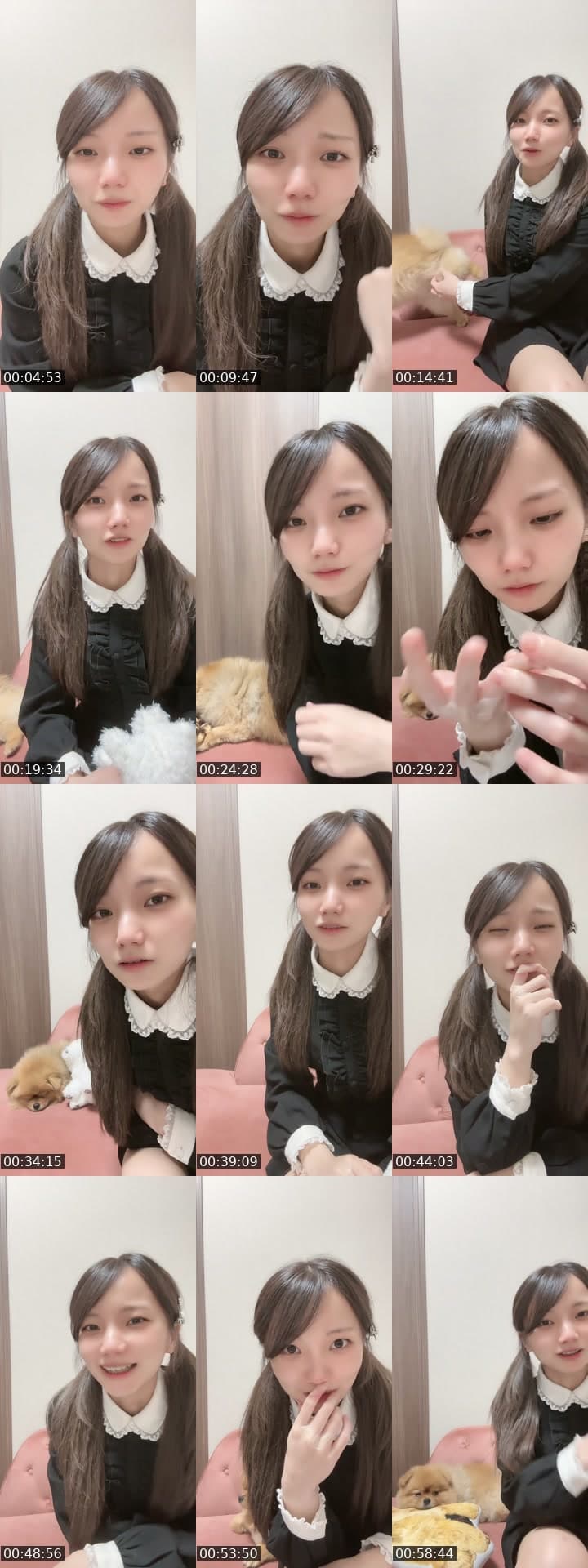 わんわん