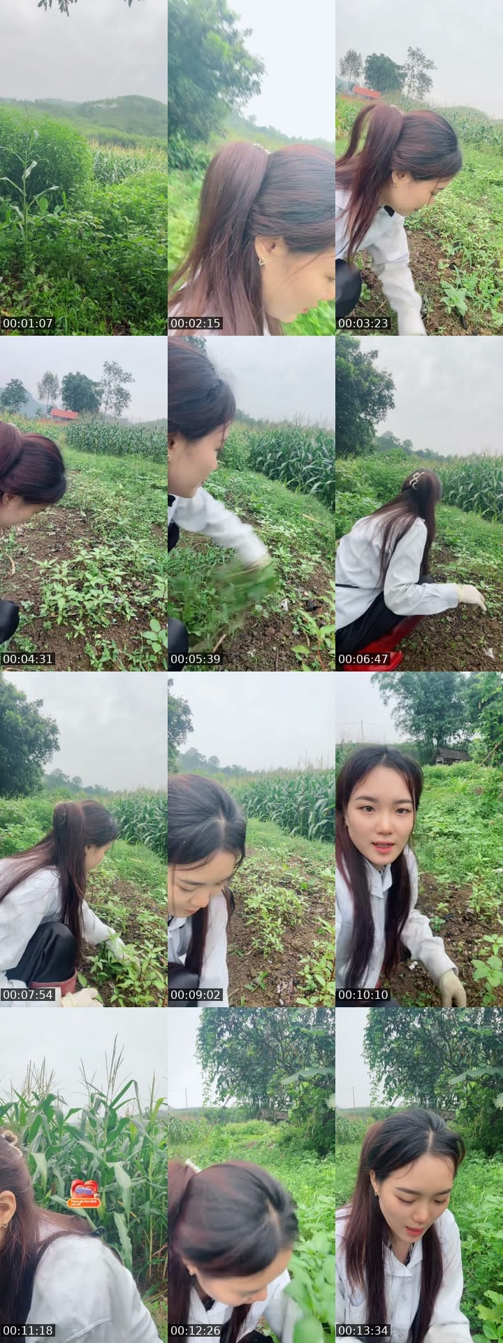 @huong_linh97 TikTok live stream