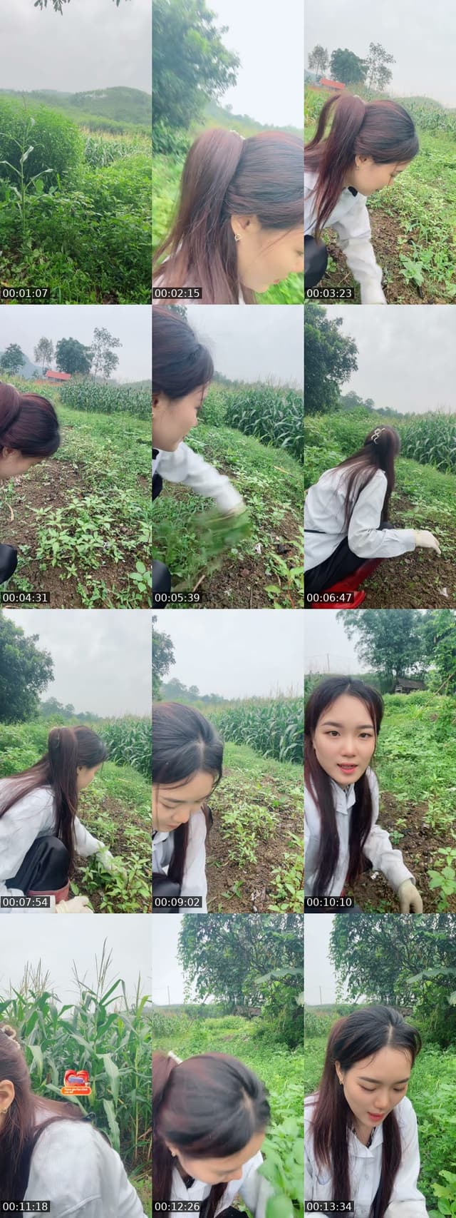 @huong_linh97 TikTok live from 2026-05-29