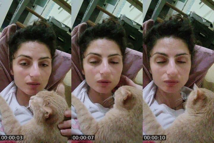 @ritapetrosino TikTok live stream