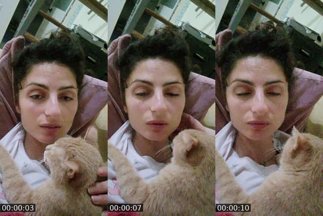 @ritapetrosino TikTok live from 2026-05-29