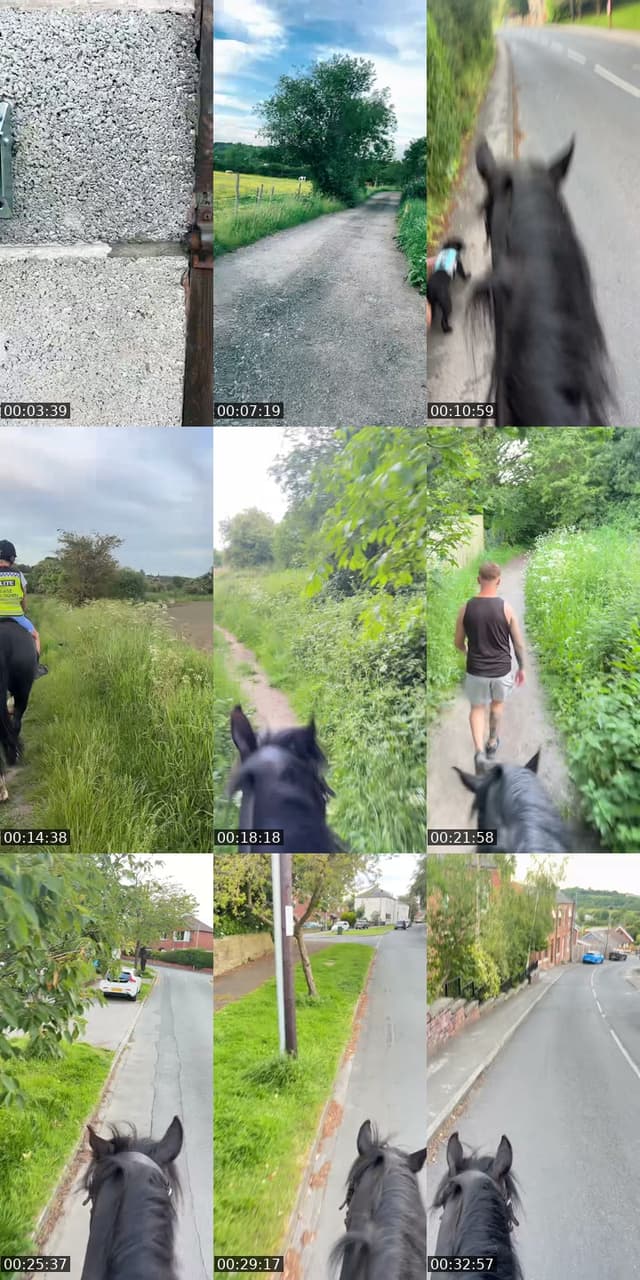 TikTok live: Road to 55k by @shannslife