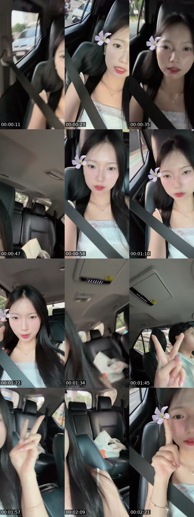 @shirokumainu TikTok live from 2026-05-31