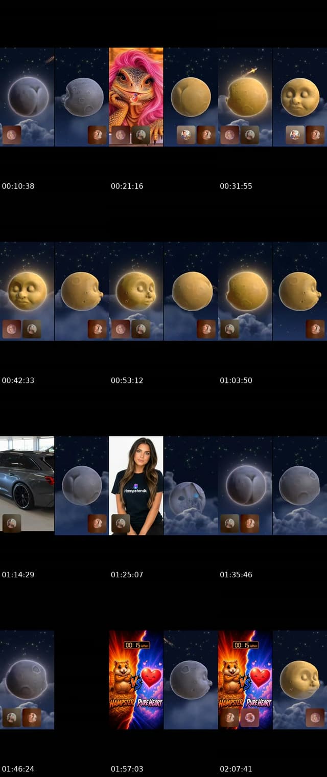 @hampsterbackup TikTok live from 2026-05-31