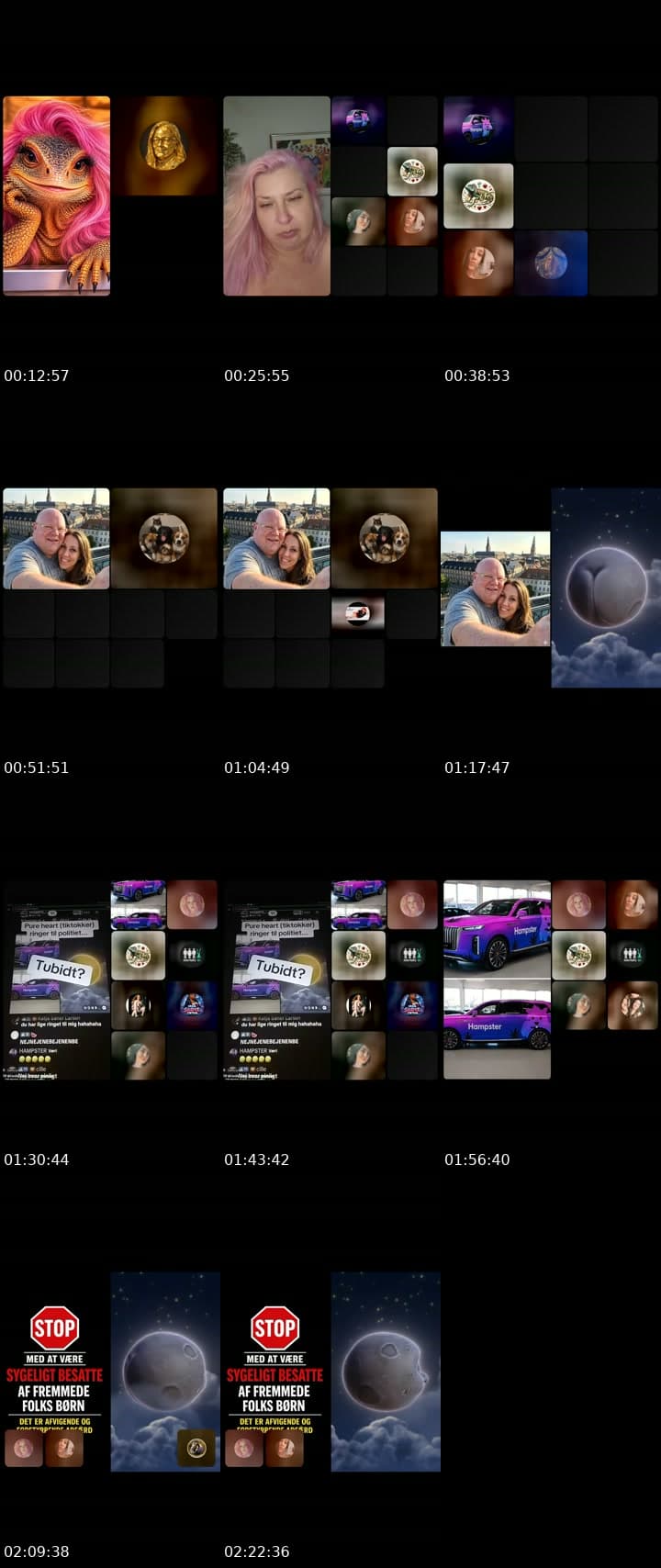 @hampsterbackup TikTok live stream