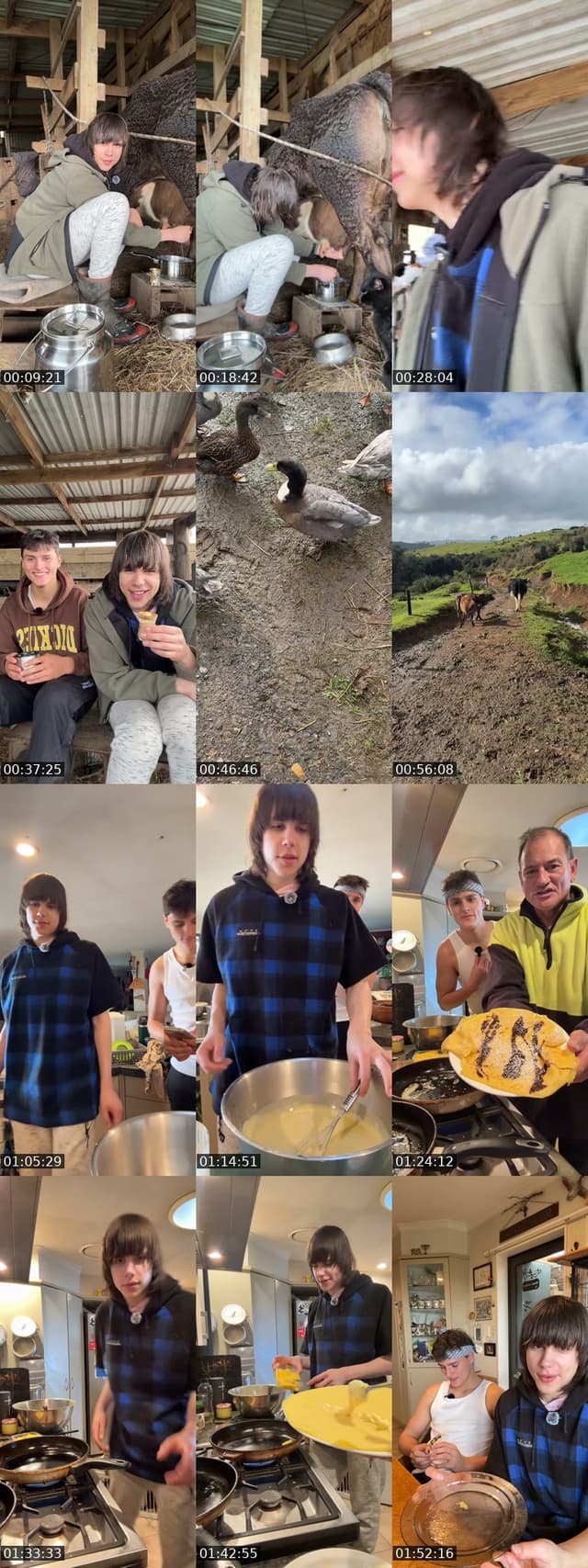 TikTok live: FarmerBoy Will Milking The Cow by @tvueoc