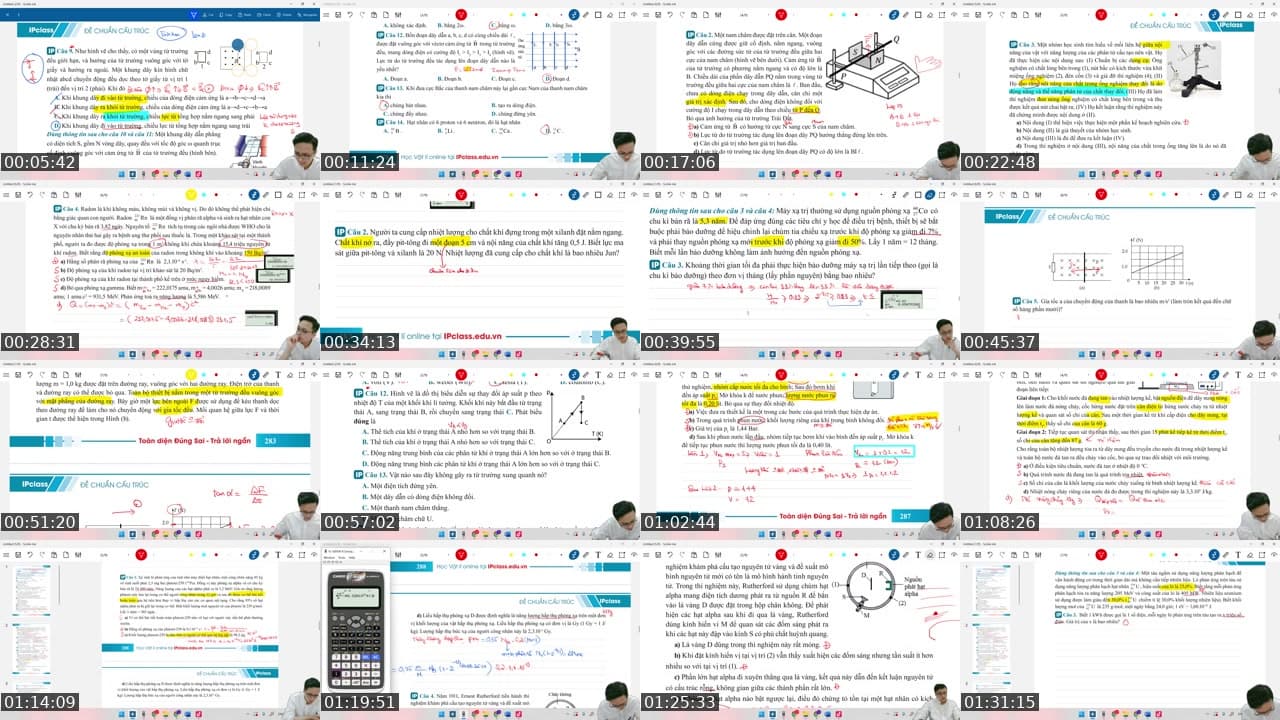 TOÀN DIỆN ĐÚNG SAI MEGA