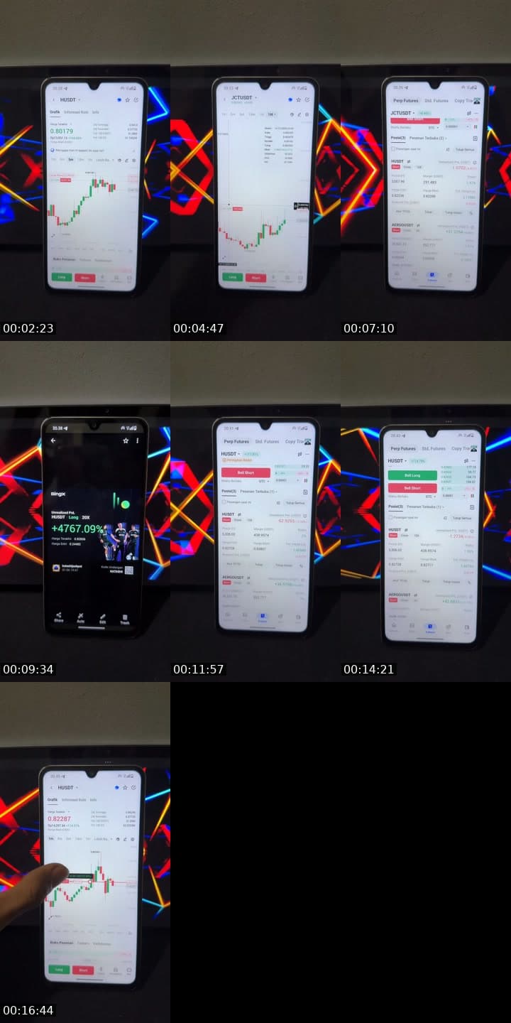 @the_whale_circle TikTok live stream