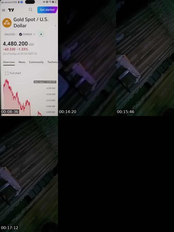 @bearbear11221 TikTok live stream
