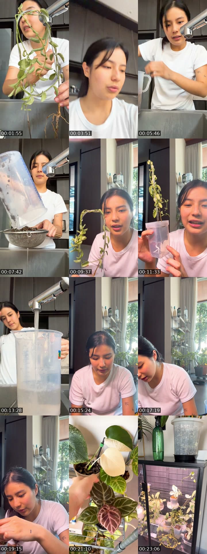 @lalaaiwaa TikTok live stream