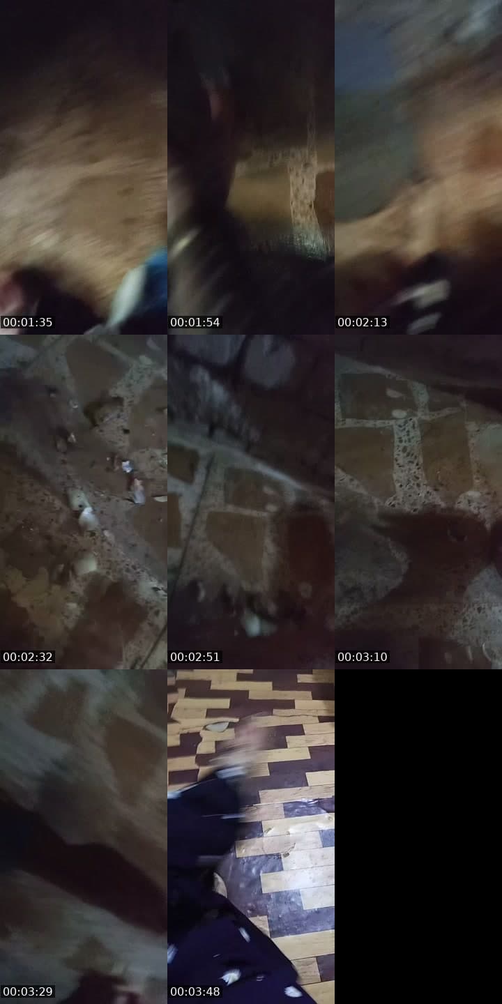 @userislxu2noya TikTok live stream
