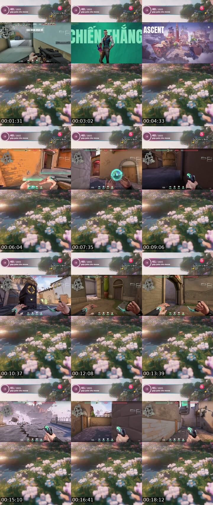 @_ivyzstar TikTok live stream